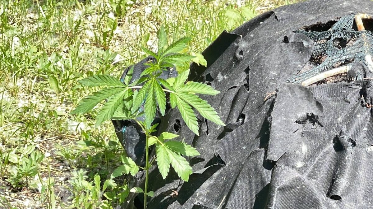 ИА SM-News Тюмень📷
