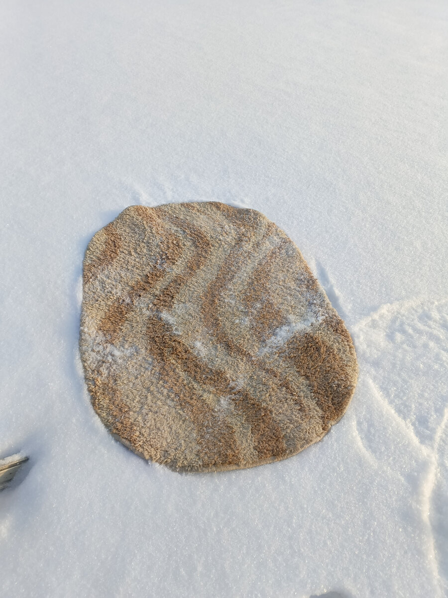 Чистите снегом паласы?