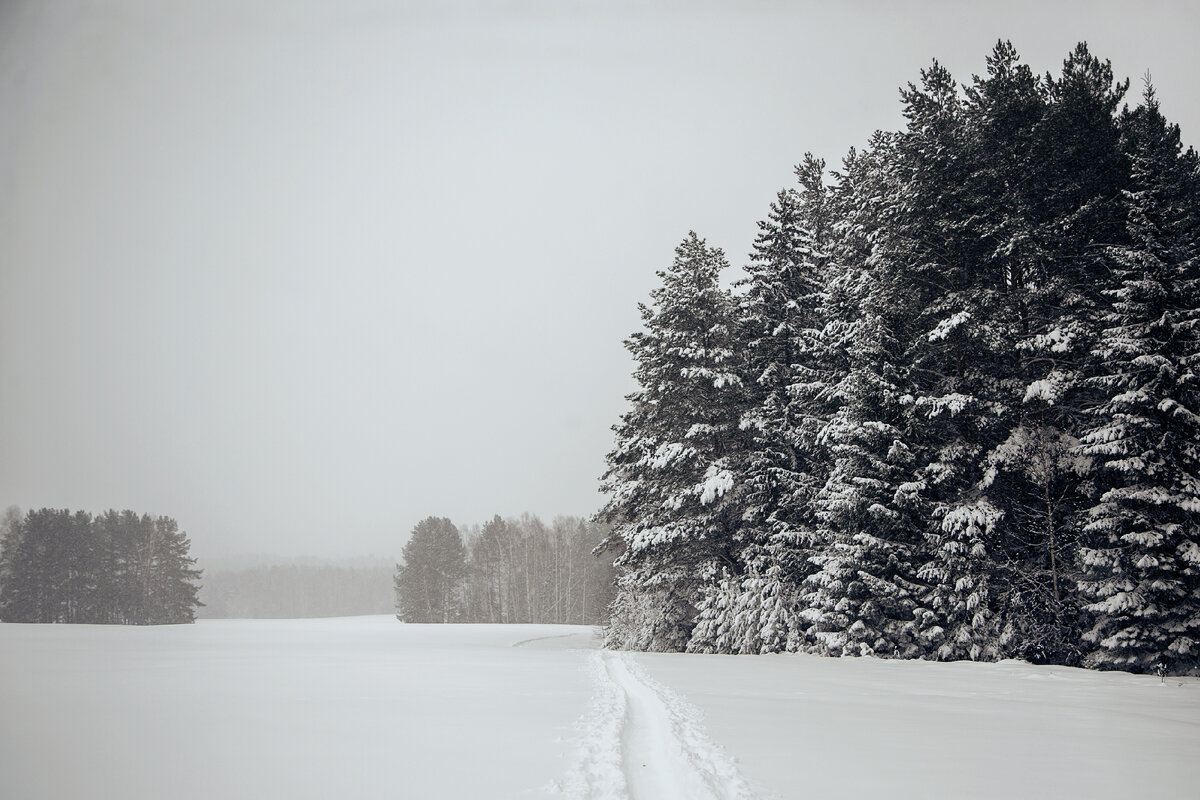 Мой монохром.