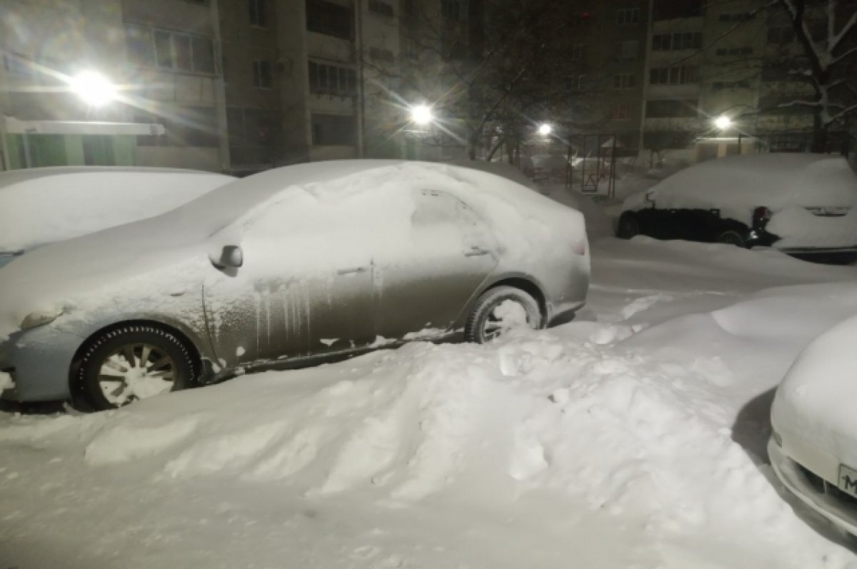    На следующей неделе Омск завалит снегом