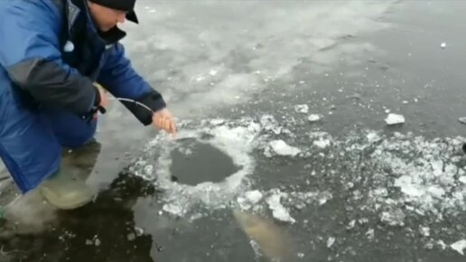 удочки для летней рыбалки поплавочные. способы рыболовства. кривда рыболовная. советы для зимней рыбалки. троллинг (рыбная ловля).