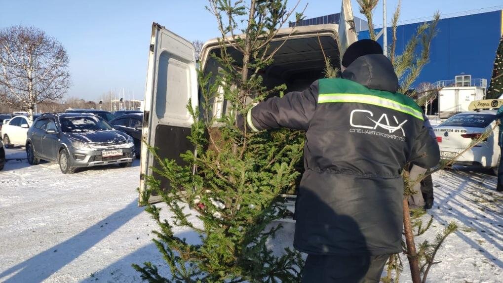 сдать житель. сдать житель. экология мусор. сбор мусора. переработка мусора.