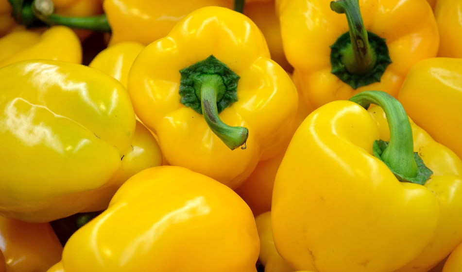 Кондитерские магазины г изобильный. Данила-мастер, кемерово, кузнецкий проспект, 17. Продукты изобильный. Агрокомплекс геленджик. Семыкина 33 изобильный улица.