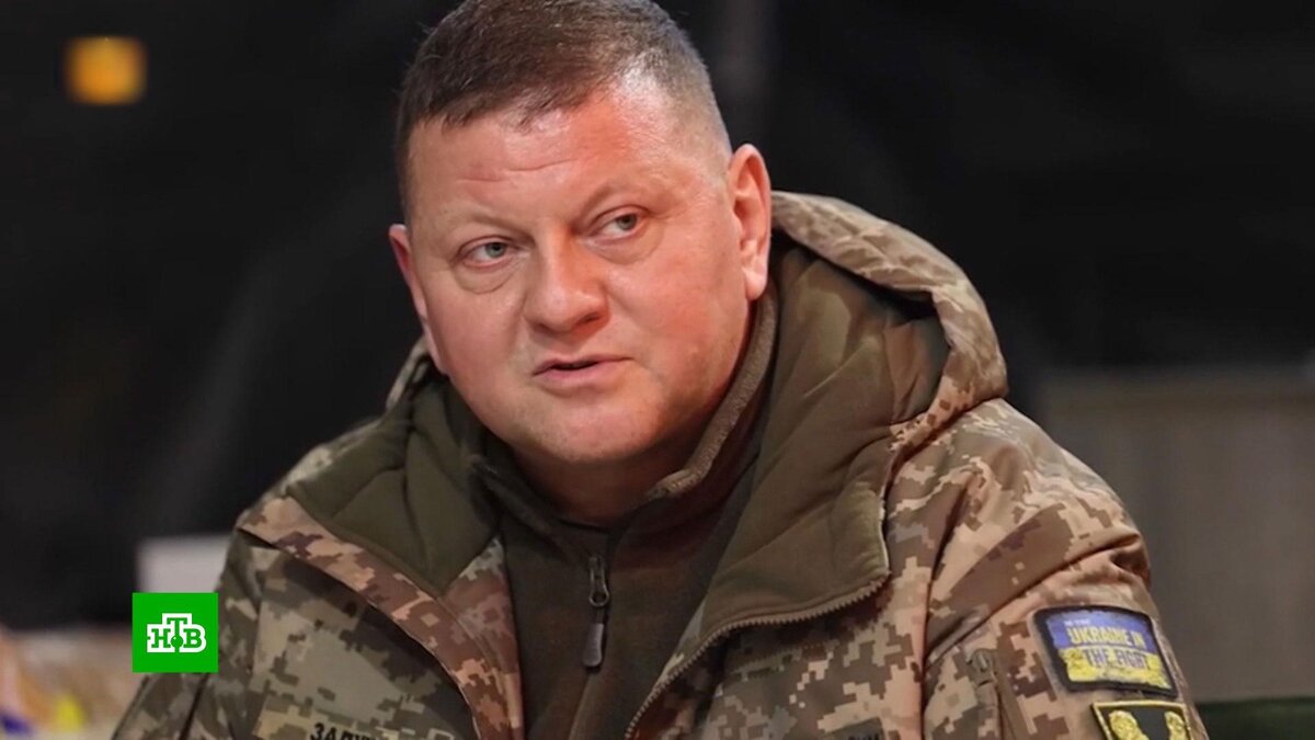    NYT: Залужного не уволили    из-за    утечки информации об отставке