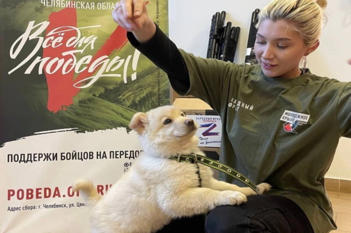    Участник СВО взял с собой щенка, которого выбросили на улицу в Челябинске