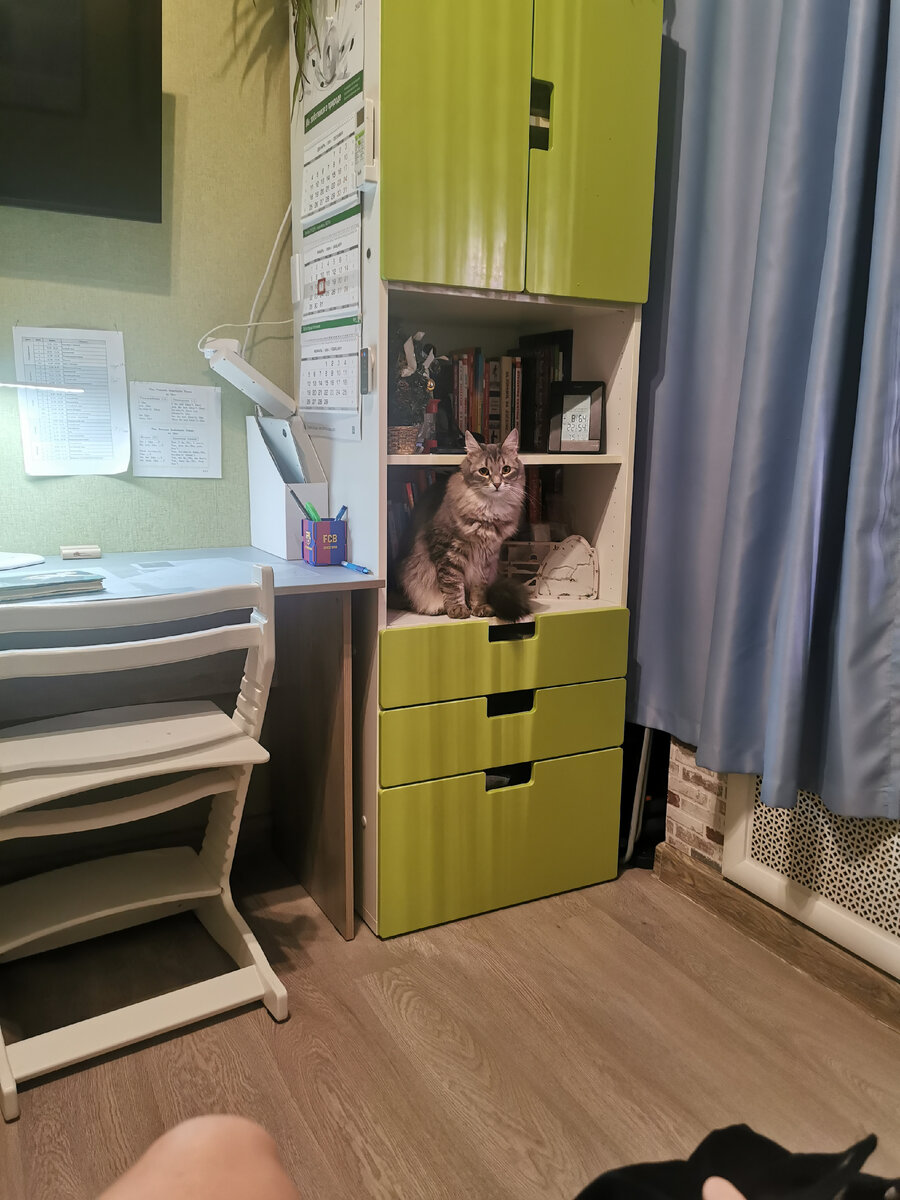 Разбор слова по составу 3 класс правило. Разобрать слово по составу. Слайд молодцы. Молодец разбор. Как разобрать слово по составу 3 класс.