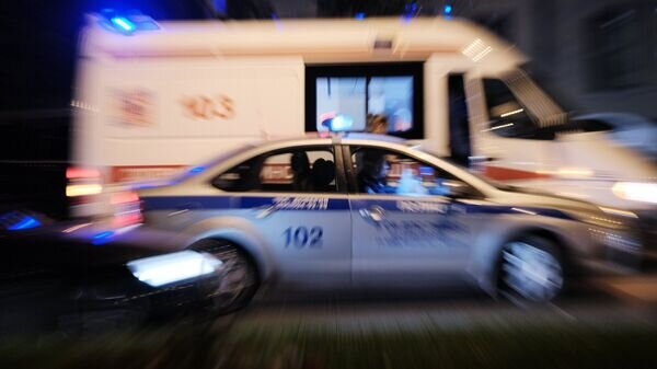    © Sputnik / Наталья Селиверстова