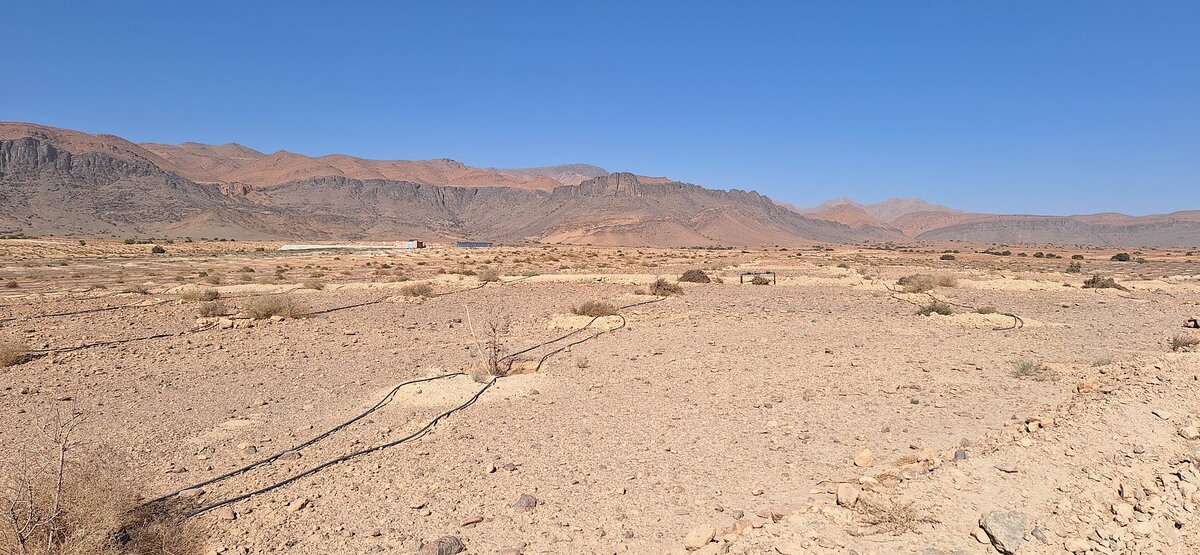 кабардино-балкария эльбрус. гора ушба в грузии. гора на две страны. национальный парк аннапурны непал. горные вершины гималаев.