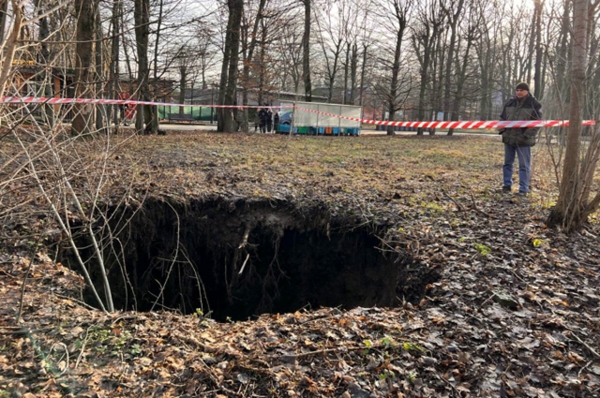    В зоопарке образовался провал из-за прорыва коллектора
