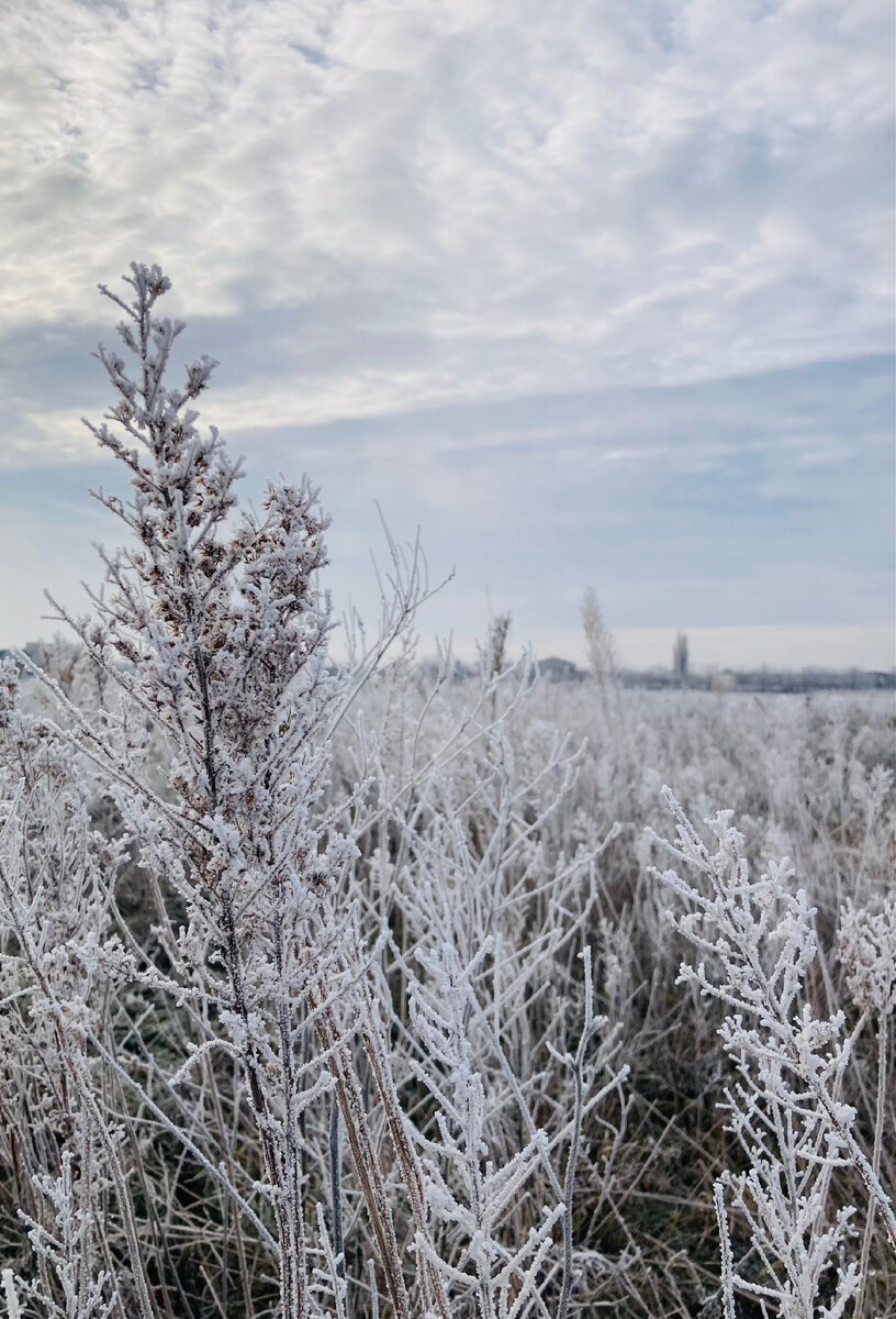 Фото автора.