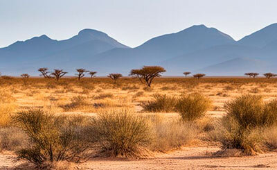 Изображение создано с помощью нейросети