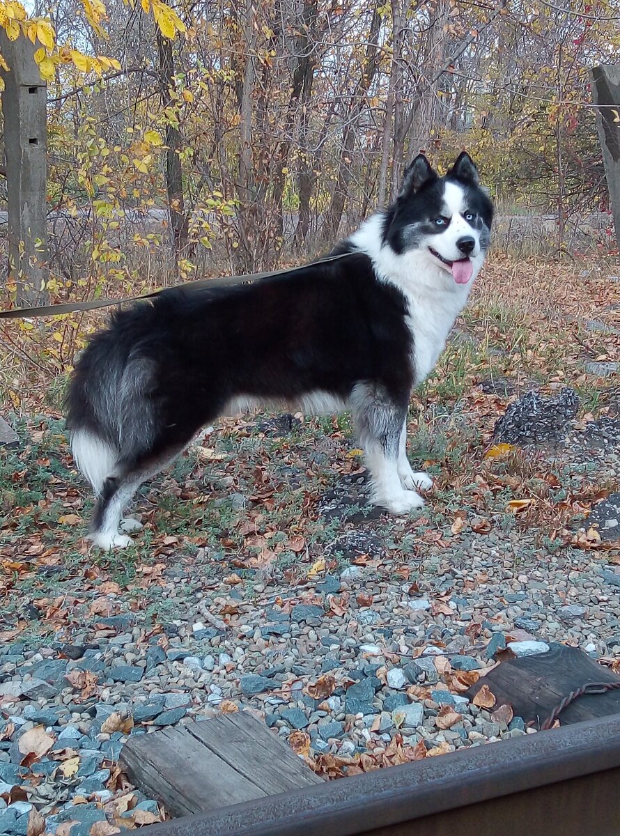 Личное фото