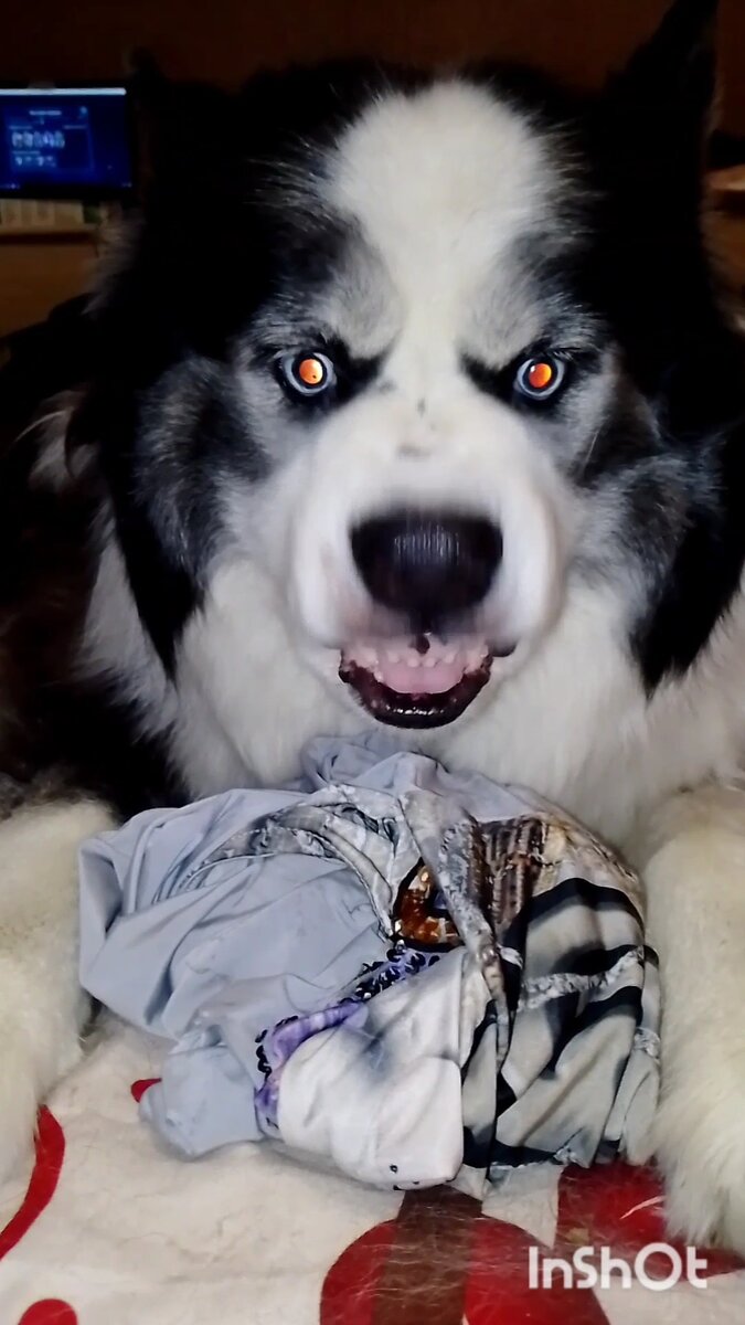 Личное фото. 