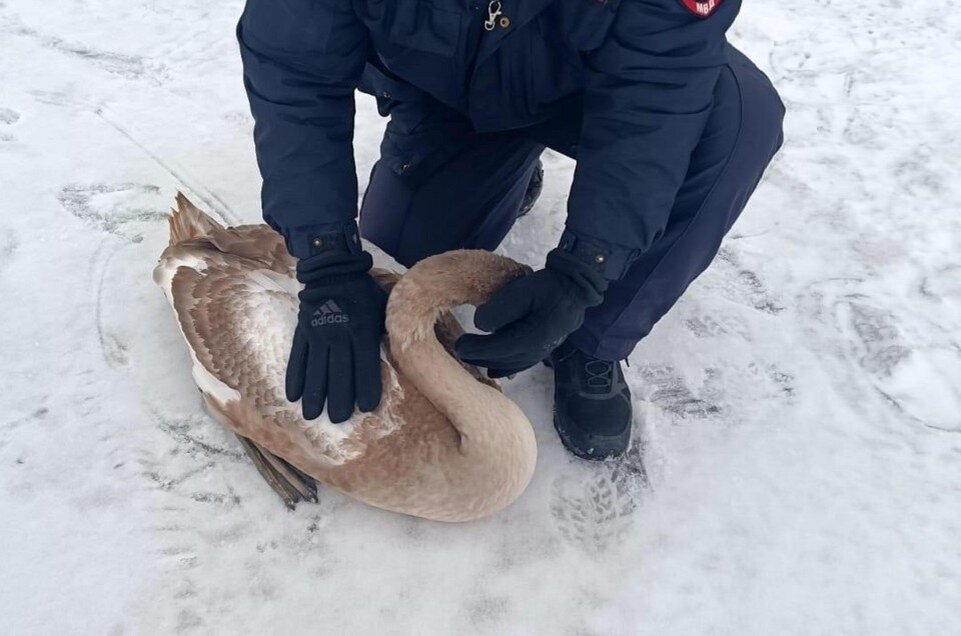 отдельный дата. 1с 8 дата запрета редактирования где. 2. баланс состоит. дата и время база данных.