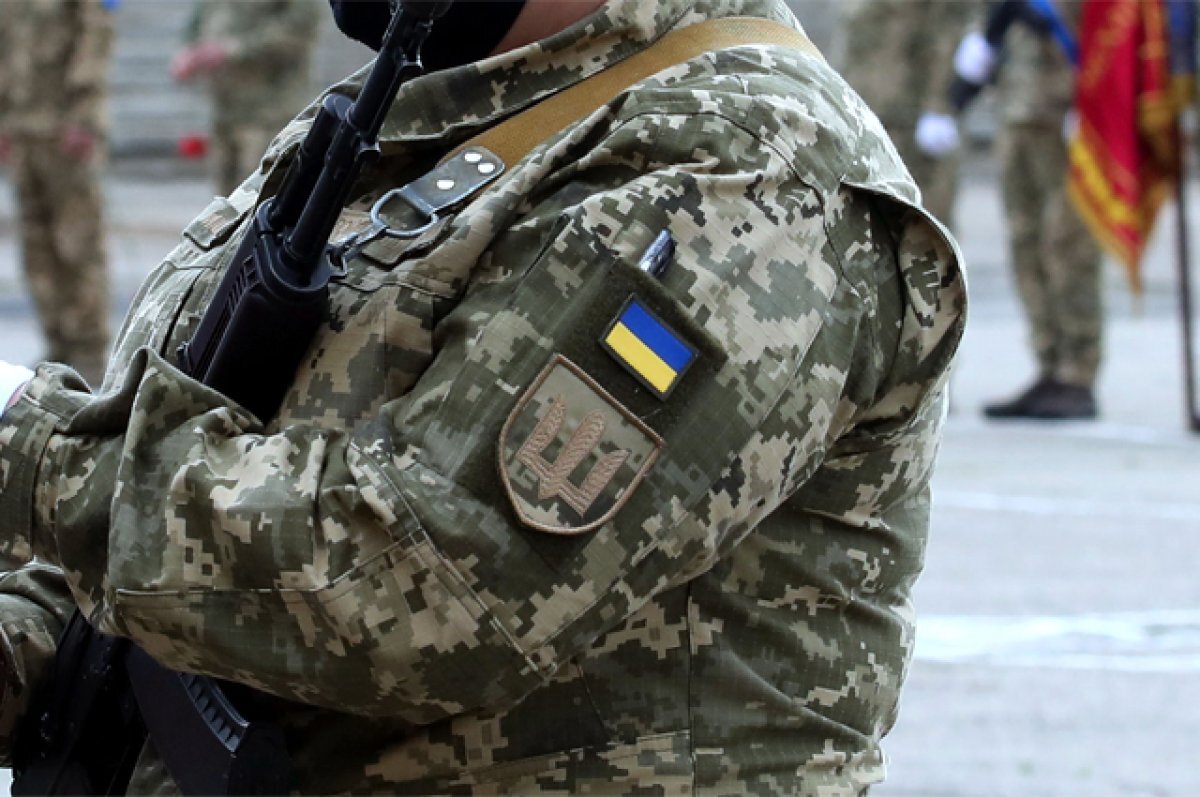    Укротили «Змею».