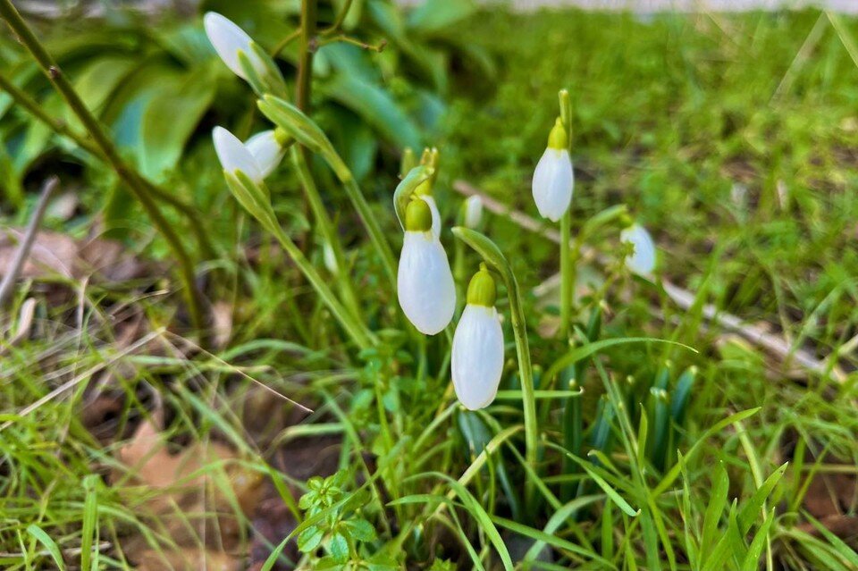 патриотизм любовь к родине. мне дедушка рассказывал как утром по весне. стихи о дне победы. фролова вера александровна художник. дети войны картины художников.
