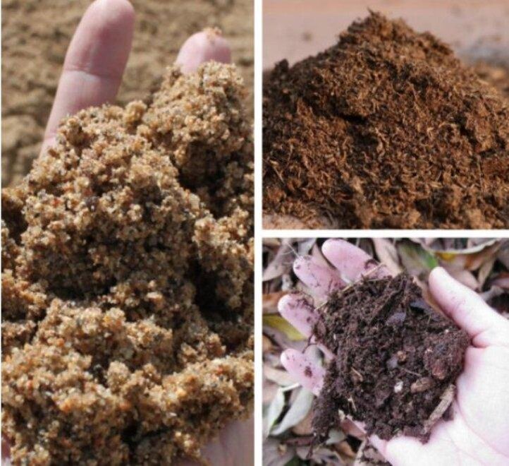 Какая земля нужна для гортензии. Кислотность почвы для гортензии крупнолистной. Почва для гортензии крупнолистной. Посадка гортензии в грунт.