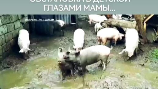 анна кирьянова психолог философ.