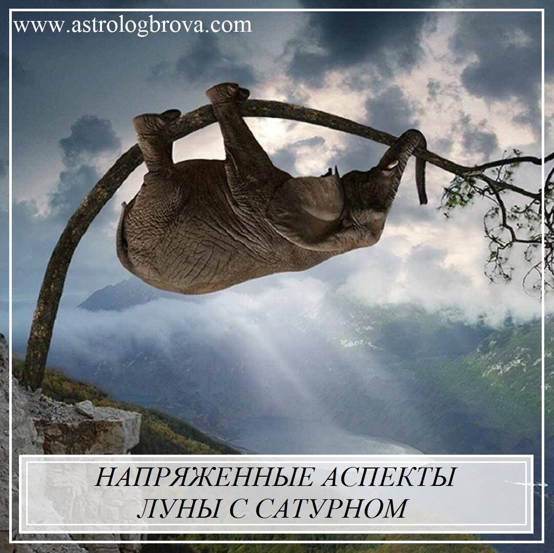 б ро ва. большая буква б.