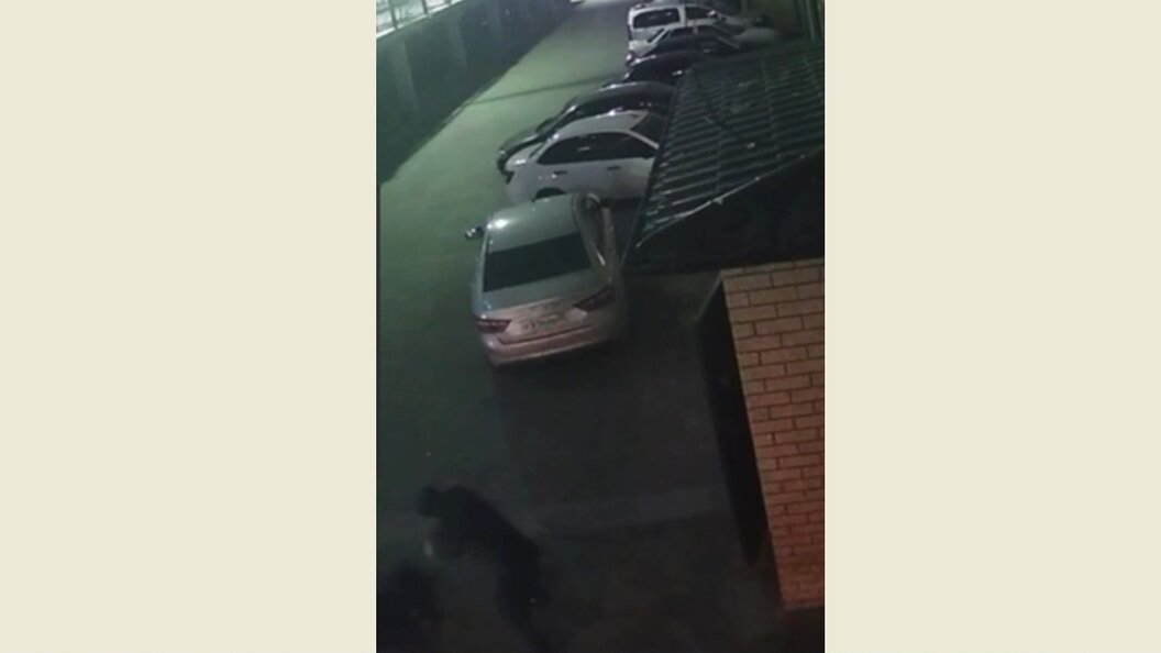    Фото: globallookpress.com