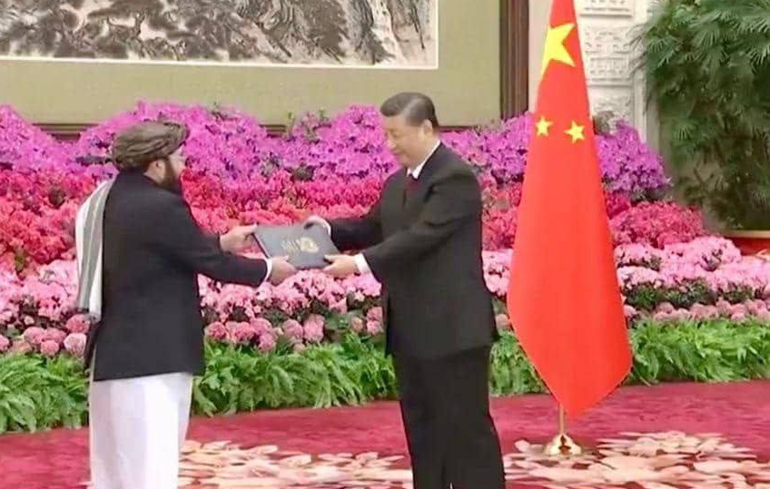 Вручение грамот. Фото из открытых источников. 