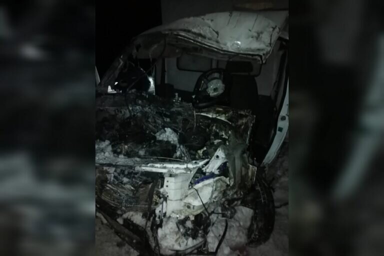    В ДТП под Соль-Илецком погиб 51-летний иностранец Кристина Просвиркина