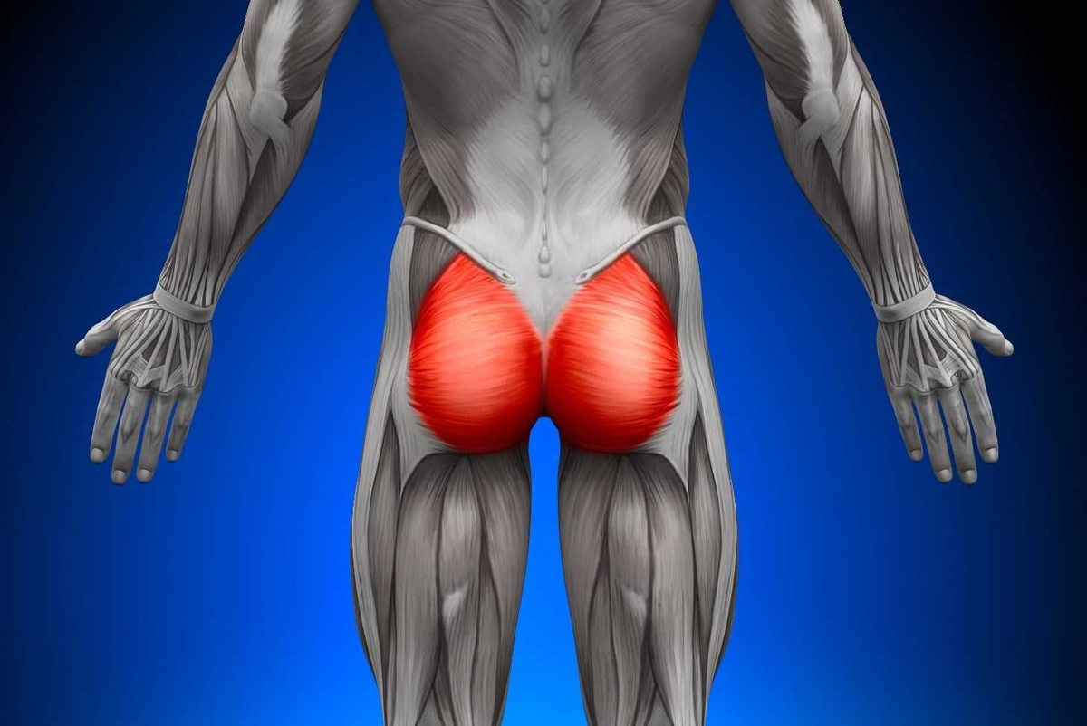 усилить работу мышц. усилить работу мышц. жим лежа бодибилдинг. отжимания на одной руке. ласточка упражнение для спины.