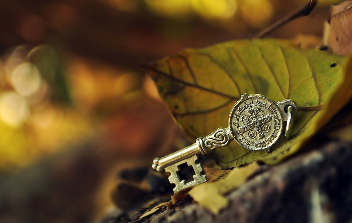 Фото из сети.