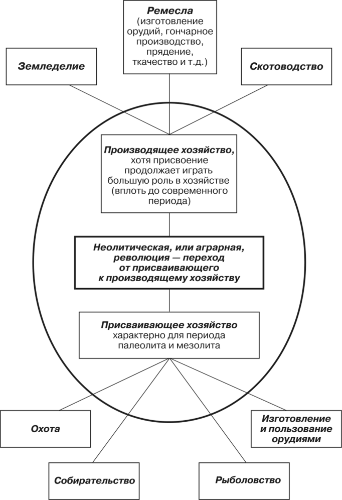 Неолитическая революция, схема. Изображение из открытых источников. 