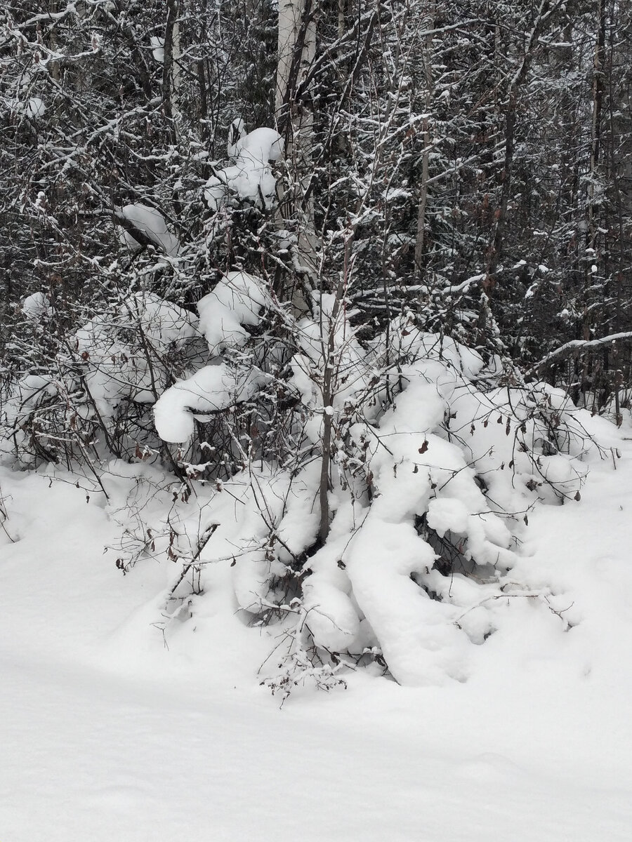тексты старых песен. группа старый приятель состав. тексты песен. старые друзья минус. группа старый приятель планета.