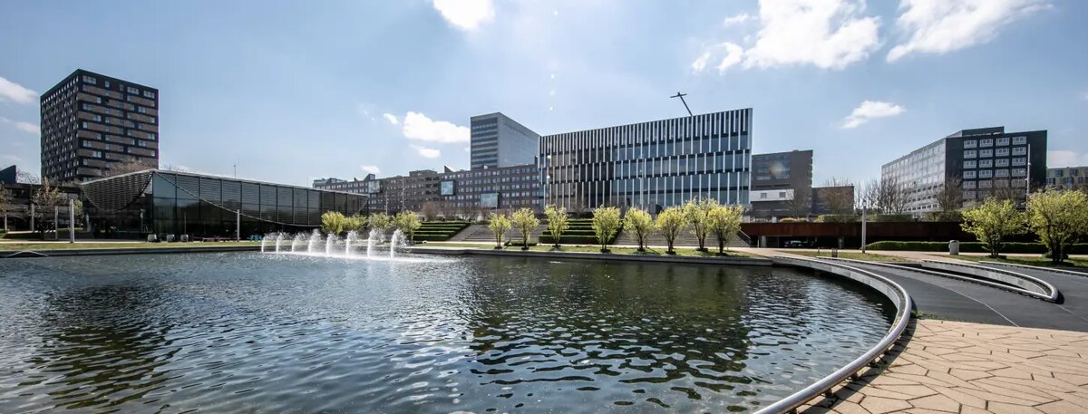 Кампус. Фото: Erasmus University Rotterdam