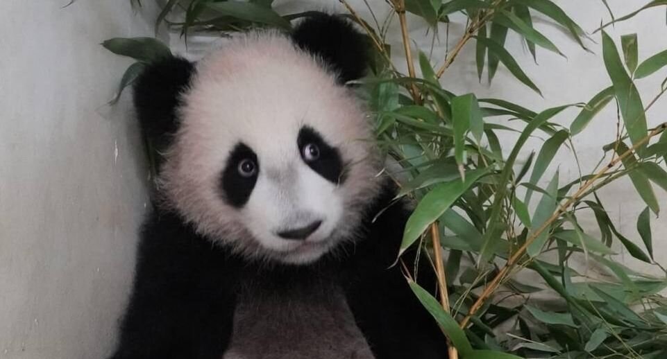    Фото: Telegram-канал Светланы Акуловой