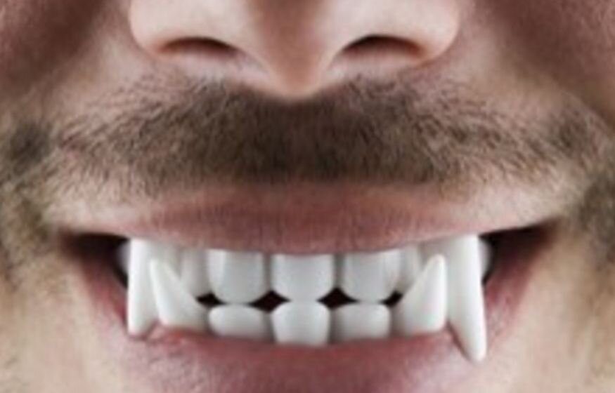    В Госдуме сравнили киевский режим с вампирами