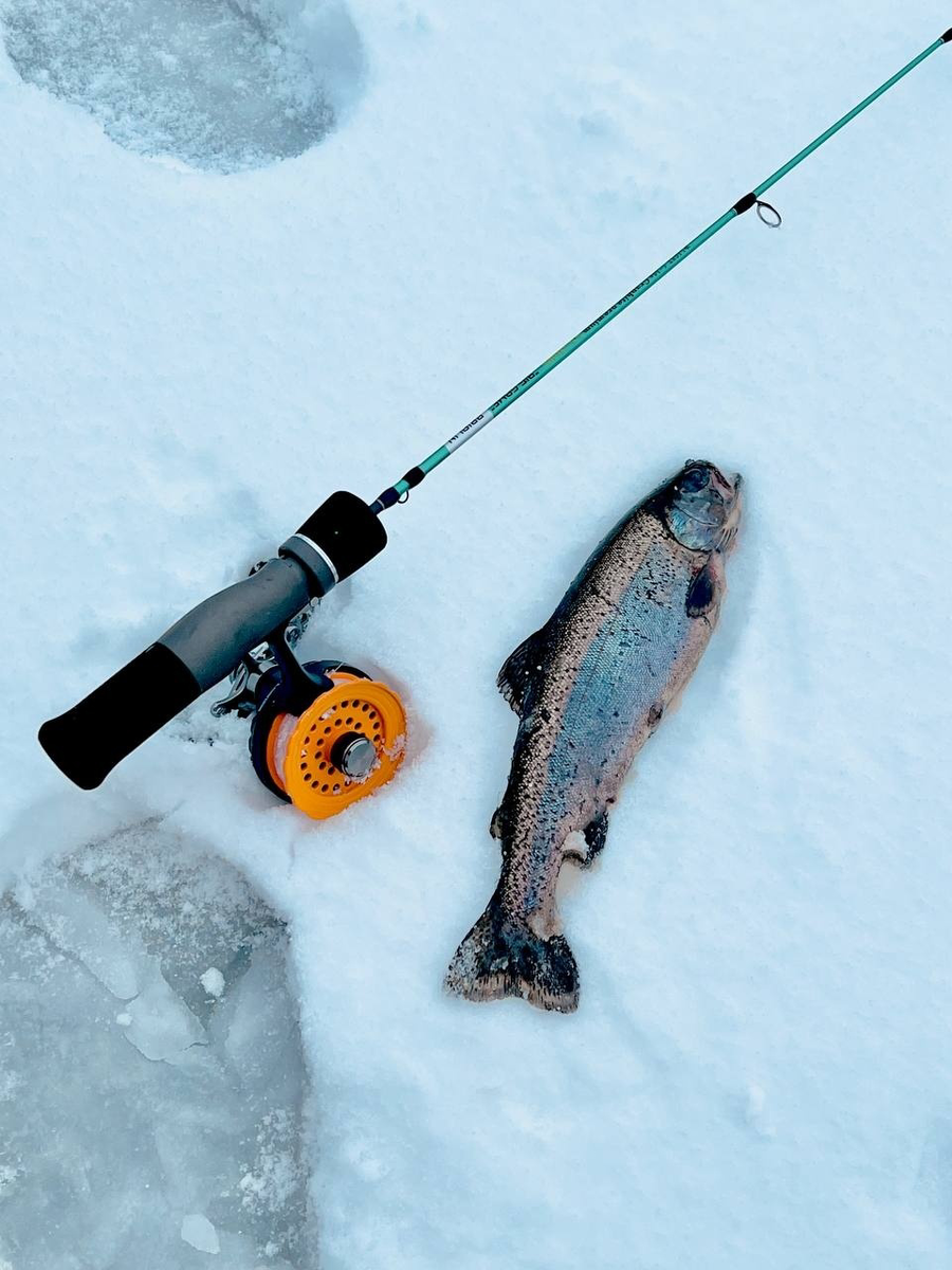 Лед на реке в разрезе. Лед легче воды. Глубина водоёма на участке. Температура подо льдом зимой. Температура подо льдом зимой.