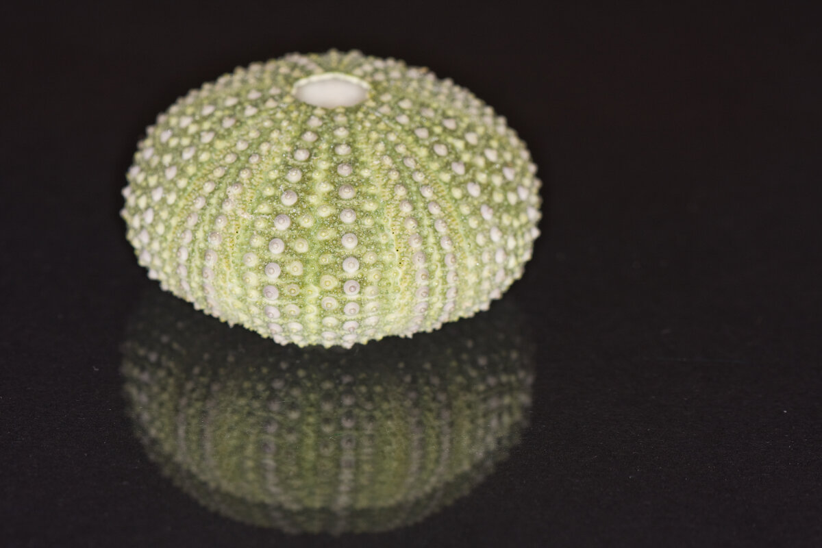     Фото: Shutterstock.com