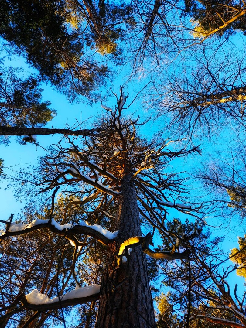 Почему в башкирии. Аша река сим. Река белая шульган таш. Река инзер белорецкий район. Река караидель башкортостан.