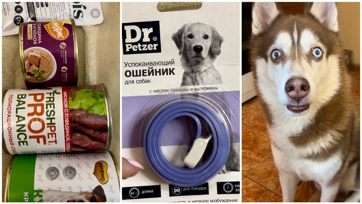 Алтай тут смешной 