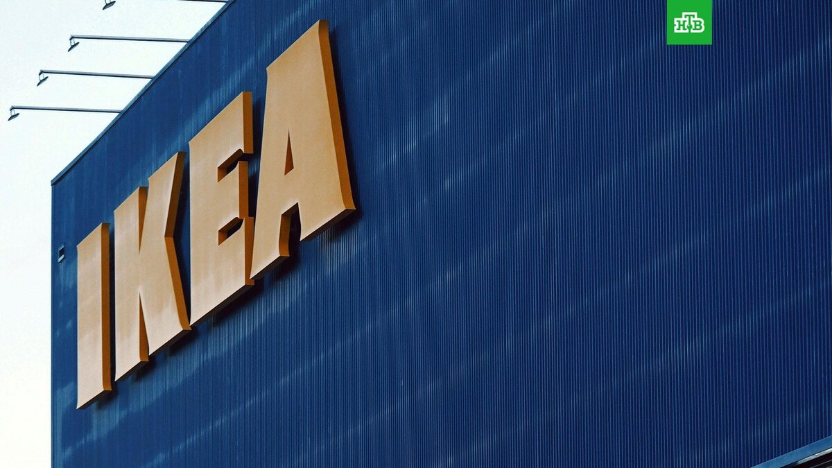    Фото: Rendy Novantino / unsplash.com