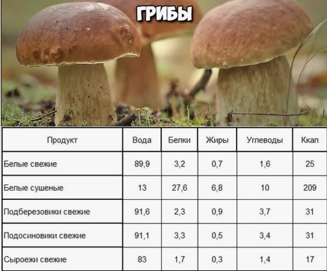 Содержание грибов белки углеводы