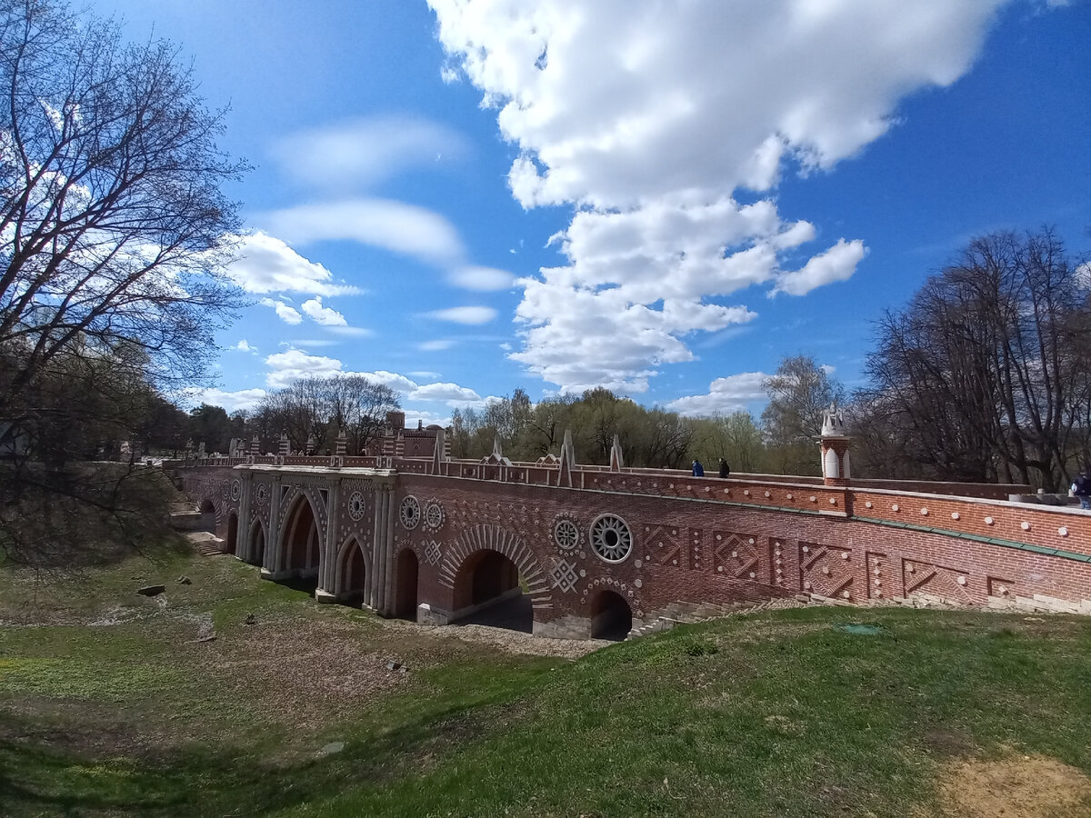 Тюльпаны нарциссы мускари. Весенний 1 2 3. Весенние цветы рисунок для детей. Весенний 1 2 3. Подснежник белоснежный галантус.