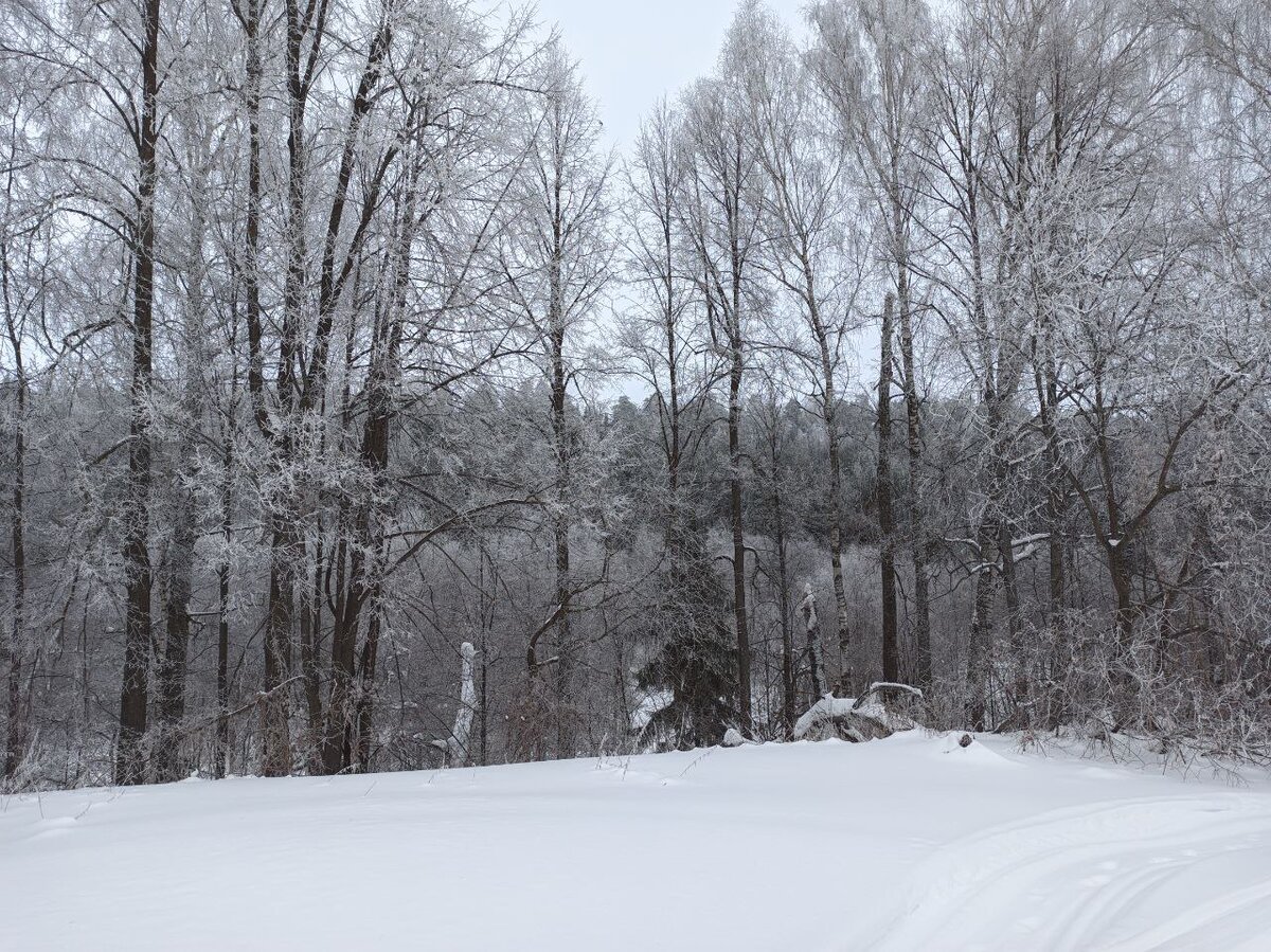 девушка весна. девушка весна картинки. дышит словно. дышит словно. волшебный поцелуй.