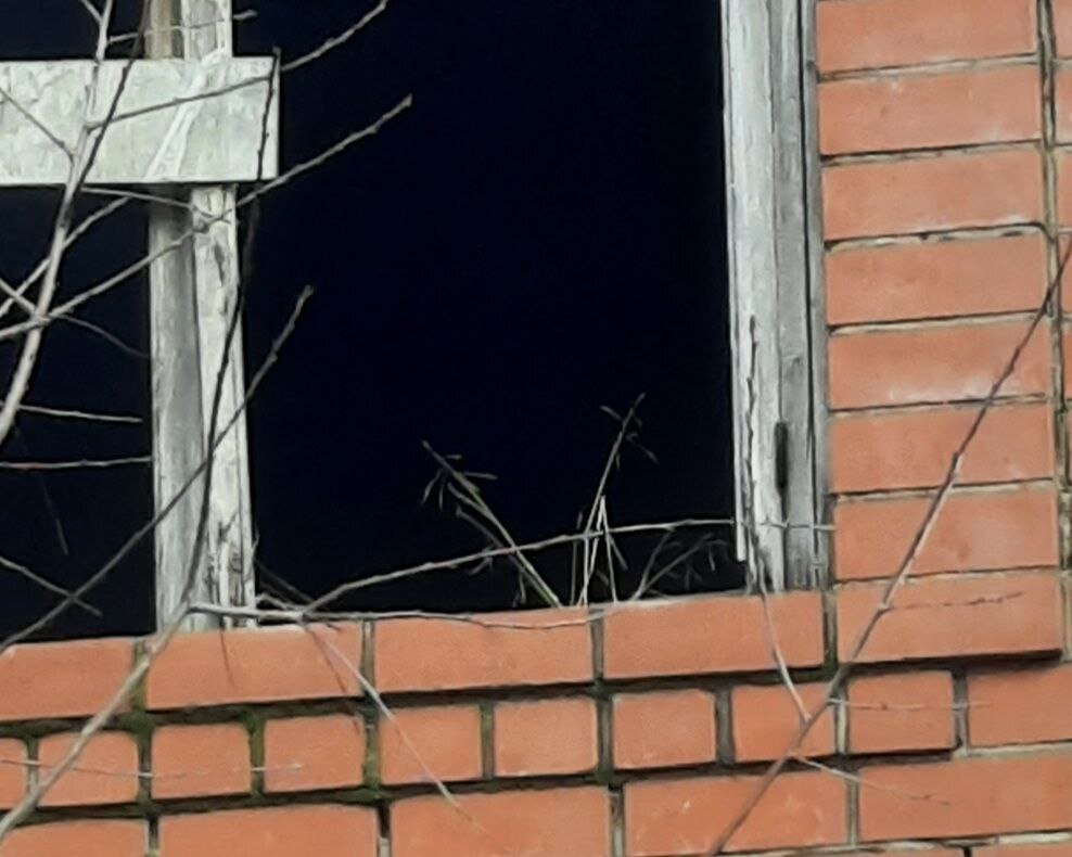 дом окон. гейл алберт-халабан, «из моего окна». окна рехау панорамное остекление. интерьер с большими окнами. гейл альберт-халабан фотограф.