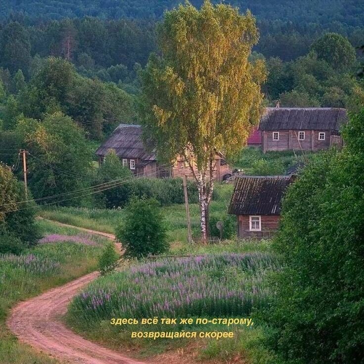 У бабушки в деревне.