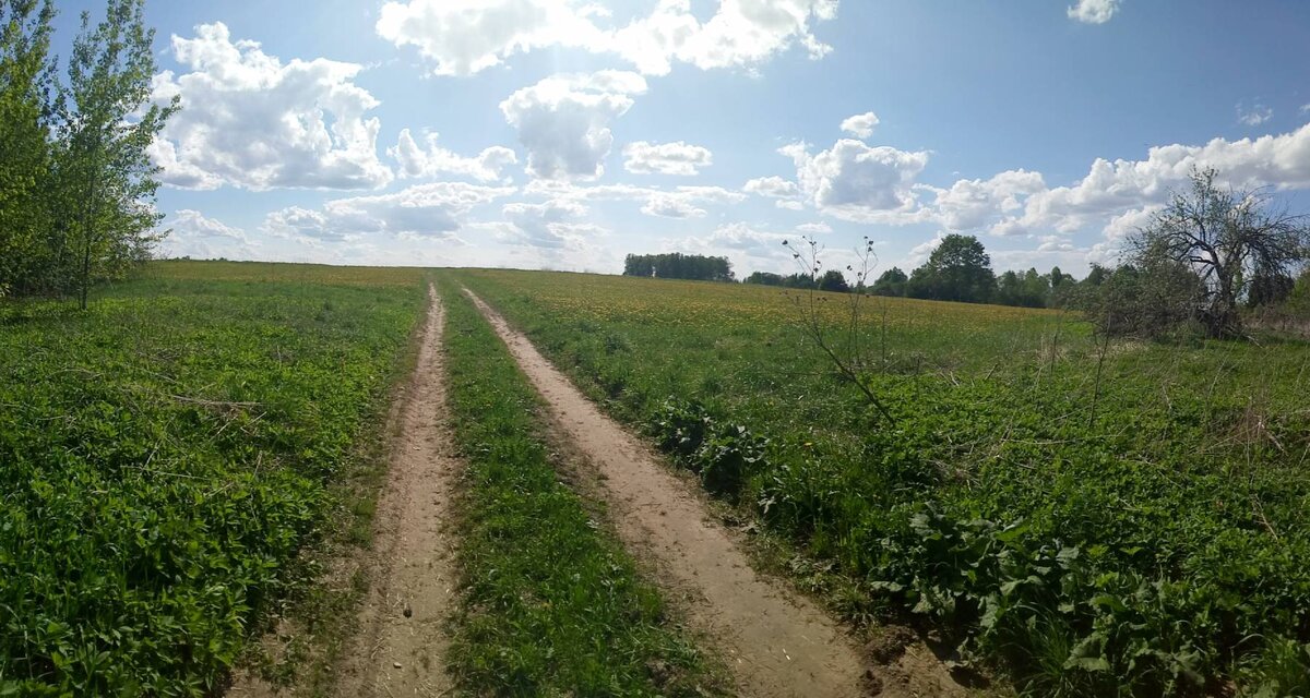 Все желания человека можно свести к одному, к желанию счастья.