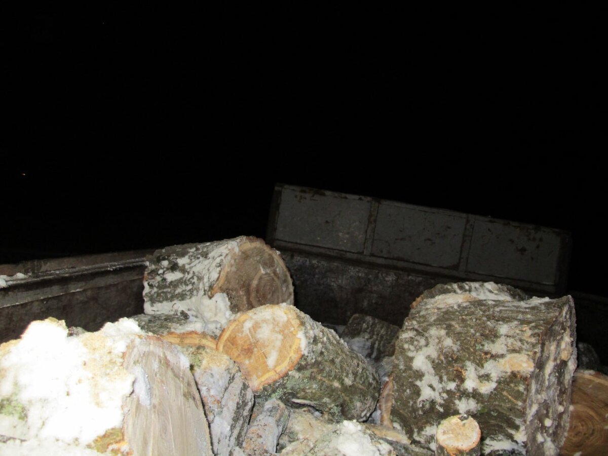    Ущерб почти на 900 тысяч рублей. Житель Северного района незаконно срубил три дерева Кристина Просвиркина