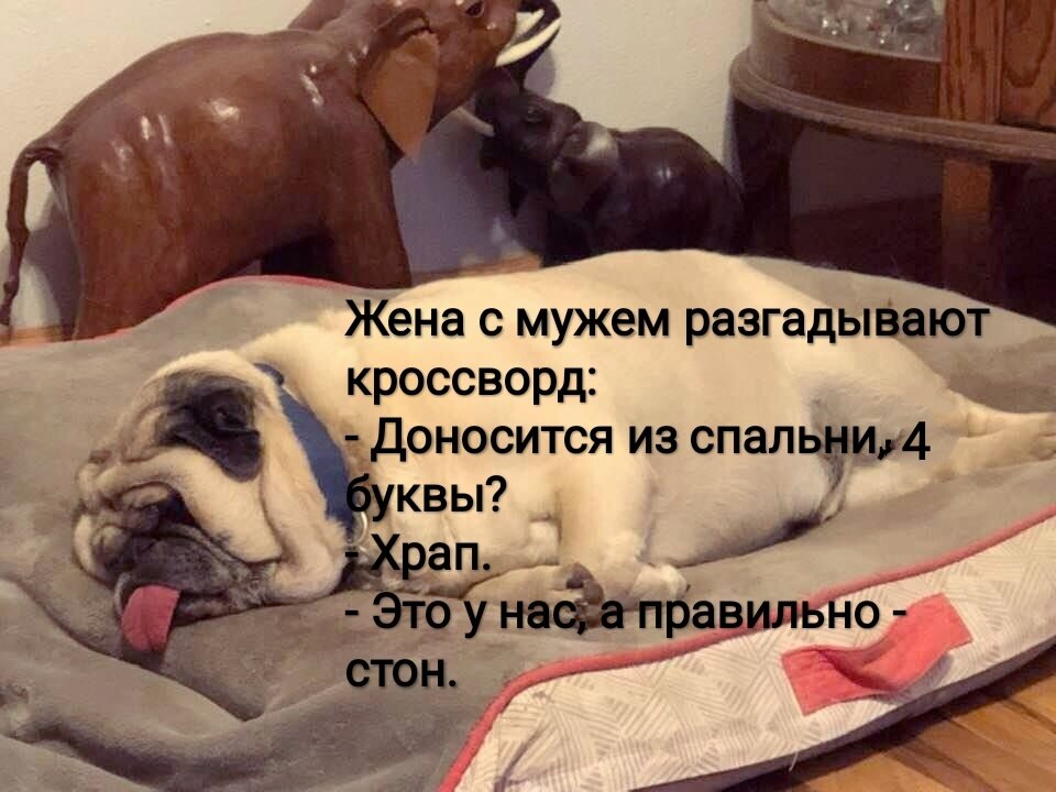 Фото из интернета в обработке автора 