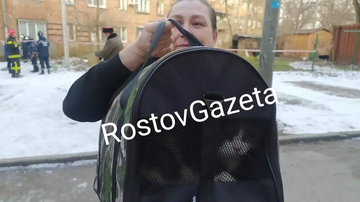 Застряла кверху ногами. Кошку достали. Кошки спасают людей. Кошка скарлетт мать героиня. Кошку достали.