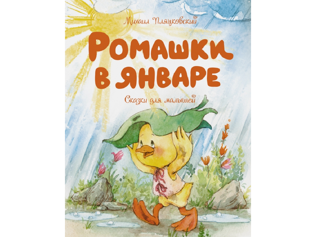 Иллюстрации к книге «Ромашки в январе»