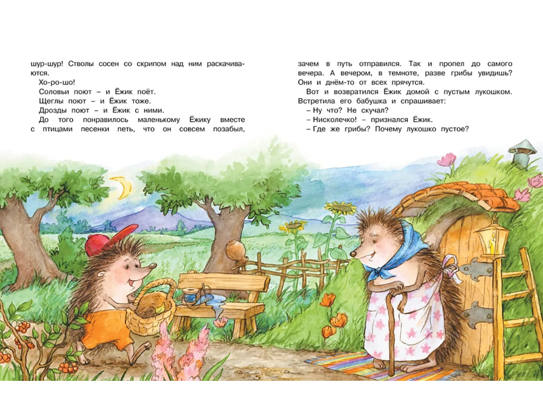 Иллюстрации к книге «Ромашки в январе»