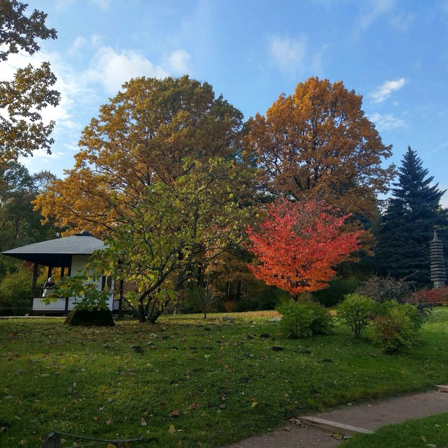 Садовый павильон, каменная пагода и краски осени